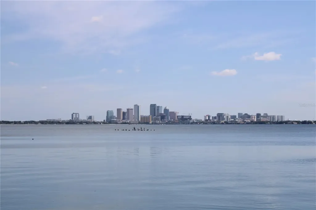 4950 Bayshore Boulevard Tampa FL 33611