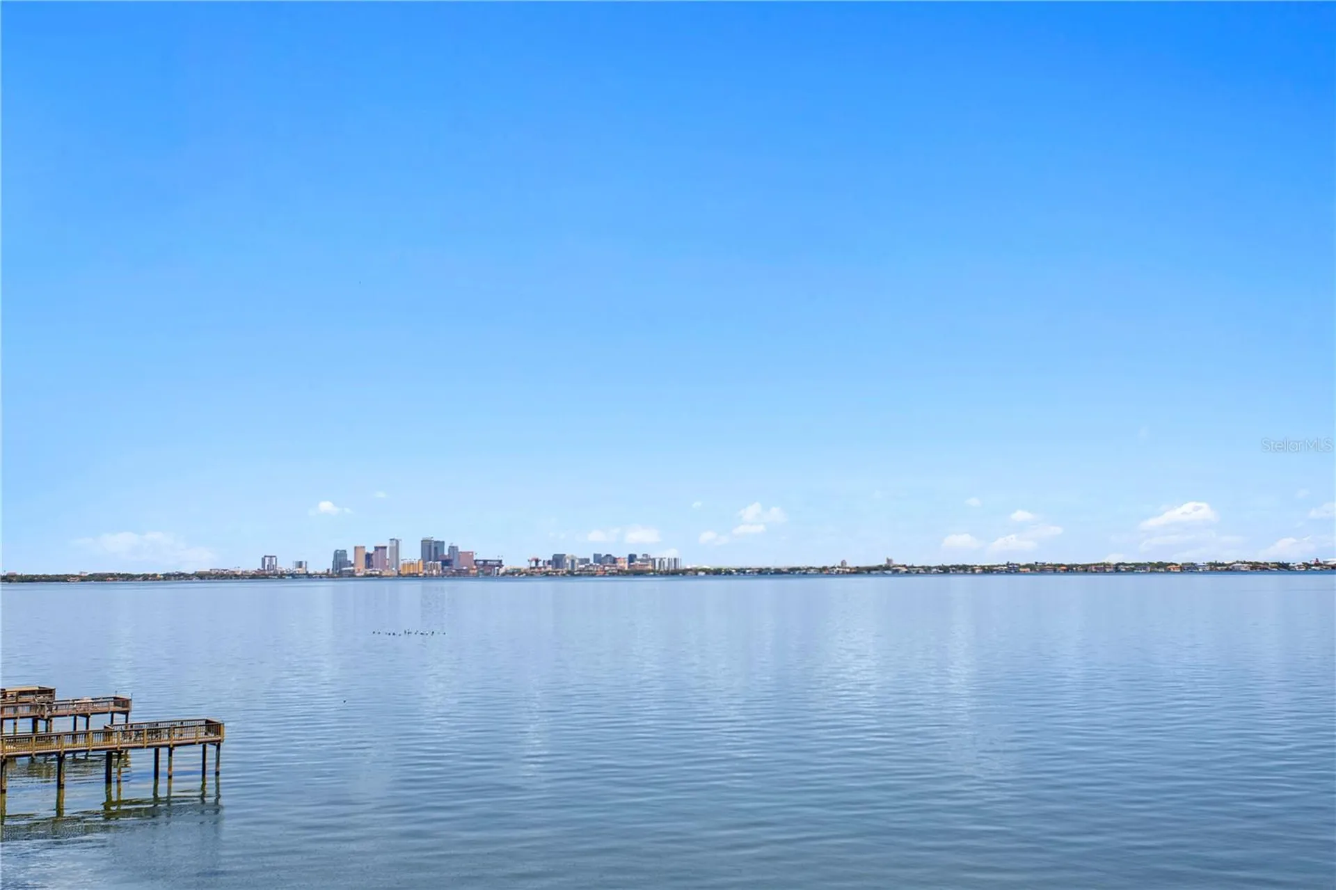 4950 Bayshore Boulevard Tampa FL 33611