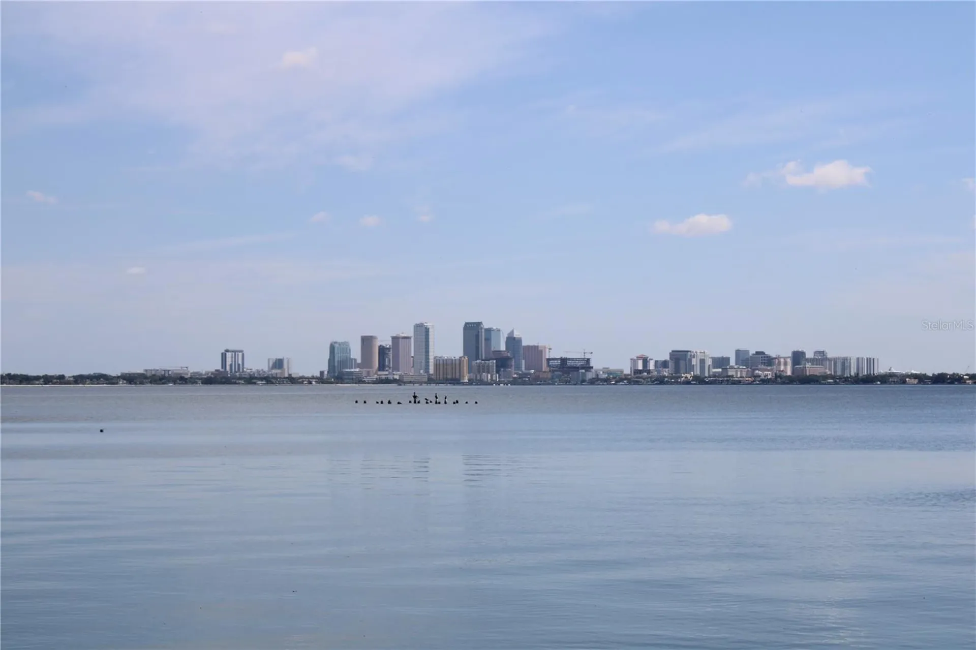 4950 Bayshore Boulevard Tampa FL 33611