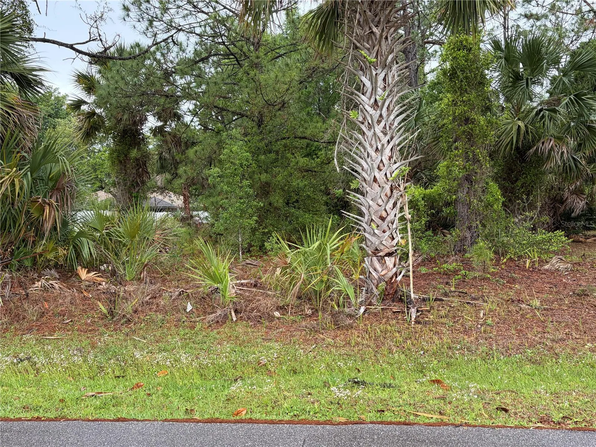 31 Whittingham Lane Palm Coast FL 32164