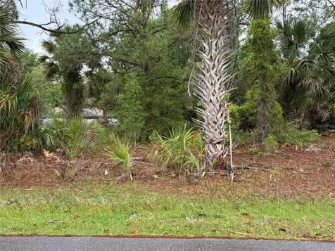 31 Whittingham Lane Palm Coast FL 32164