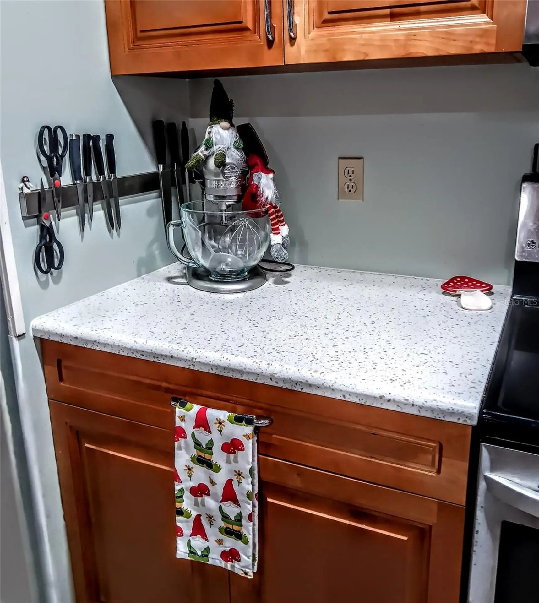 103 Royal Palm Drive Leesburg FL 34748