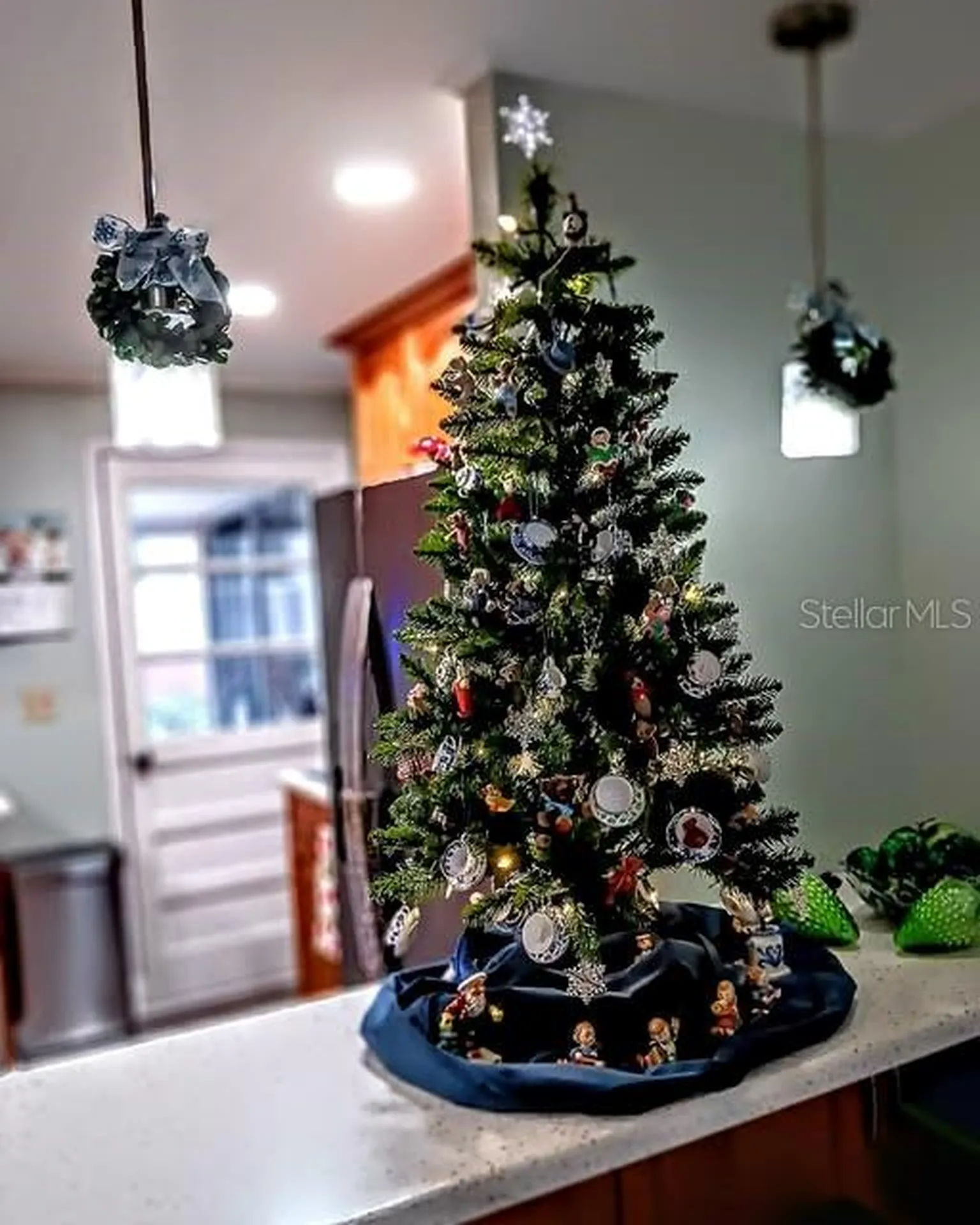103 Royal Palm Drive Leesburg FL 34748