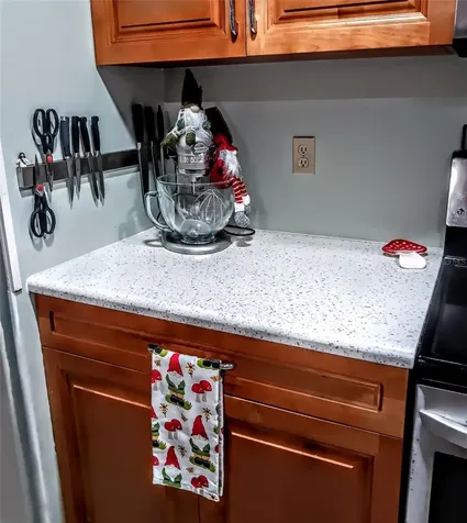 103 Royal Palm Drive Leesburg FL 34748