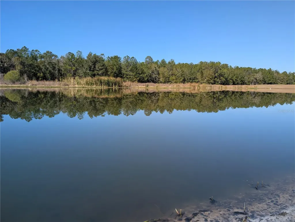 5619 Summit View Drive Brooksville FL 34601