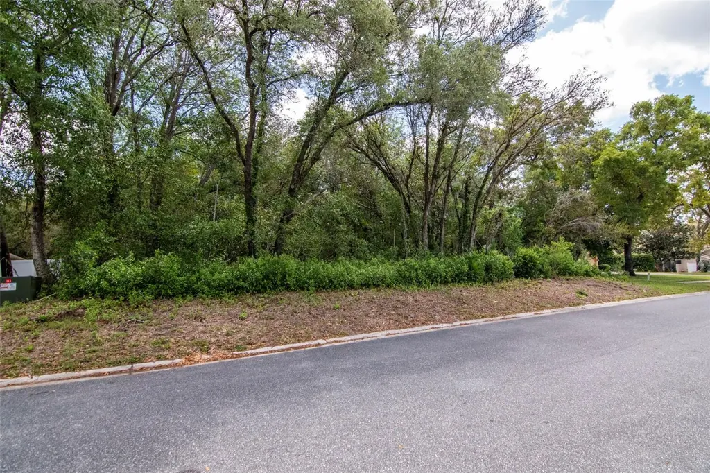 Lot 111 Winding Oaks Boulevard Hudson FL 34667