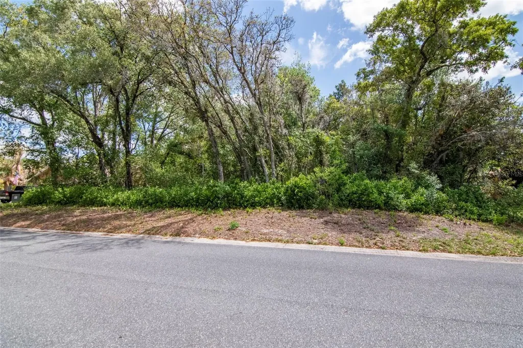 Lot 111 Winding Oaks Boulevard Hudson FL 34667