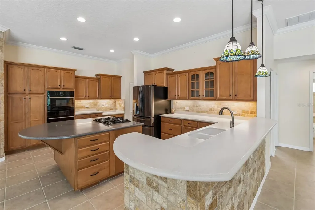 2731 Blue Springs Place Wesley Chapel FL 33544