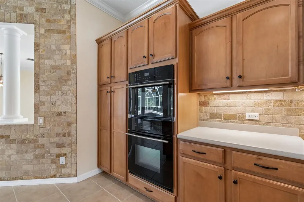 2731 Blue Springs Place Wesley Chapel FL 33544