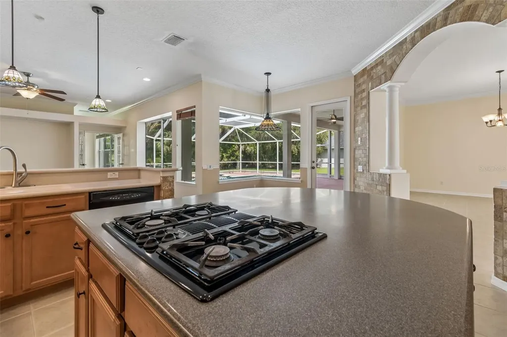 2731 Blue Springs Place Wesley Chapel FL 33544