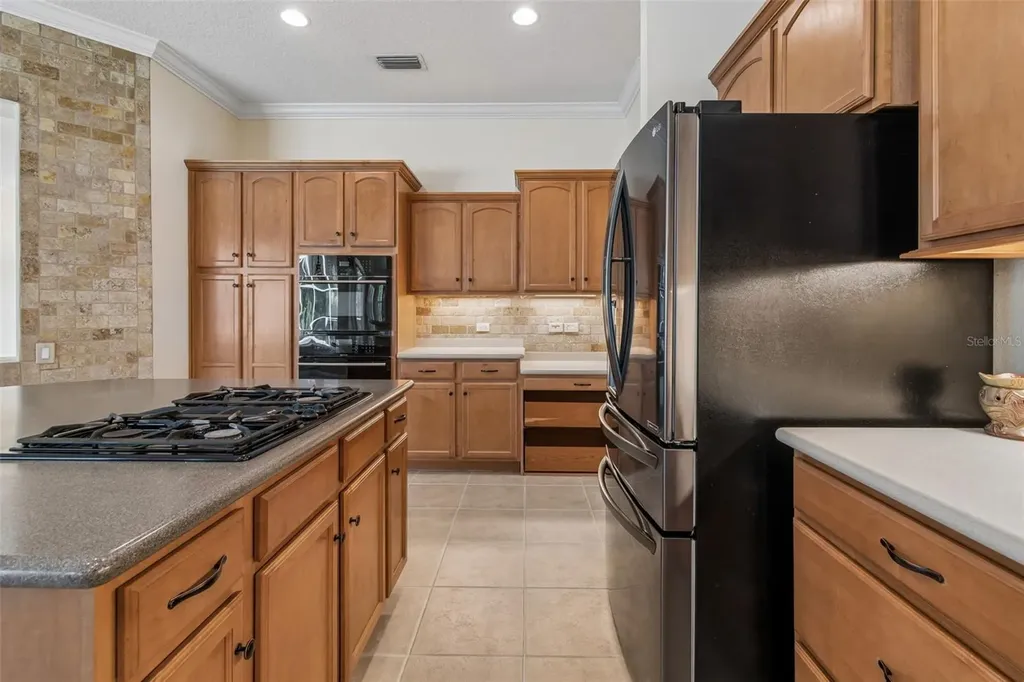 2731 Blue Springs Place Wesley Chapel FL 33544