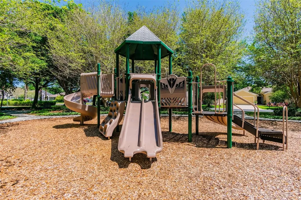 2731 Blue Springs Place Wesley Chapel FL 33544