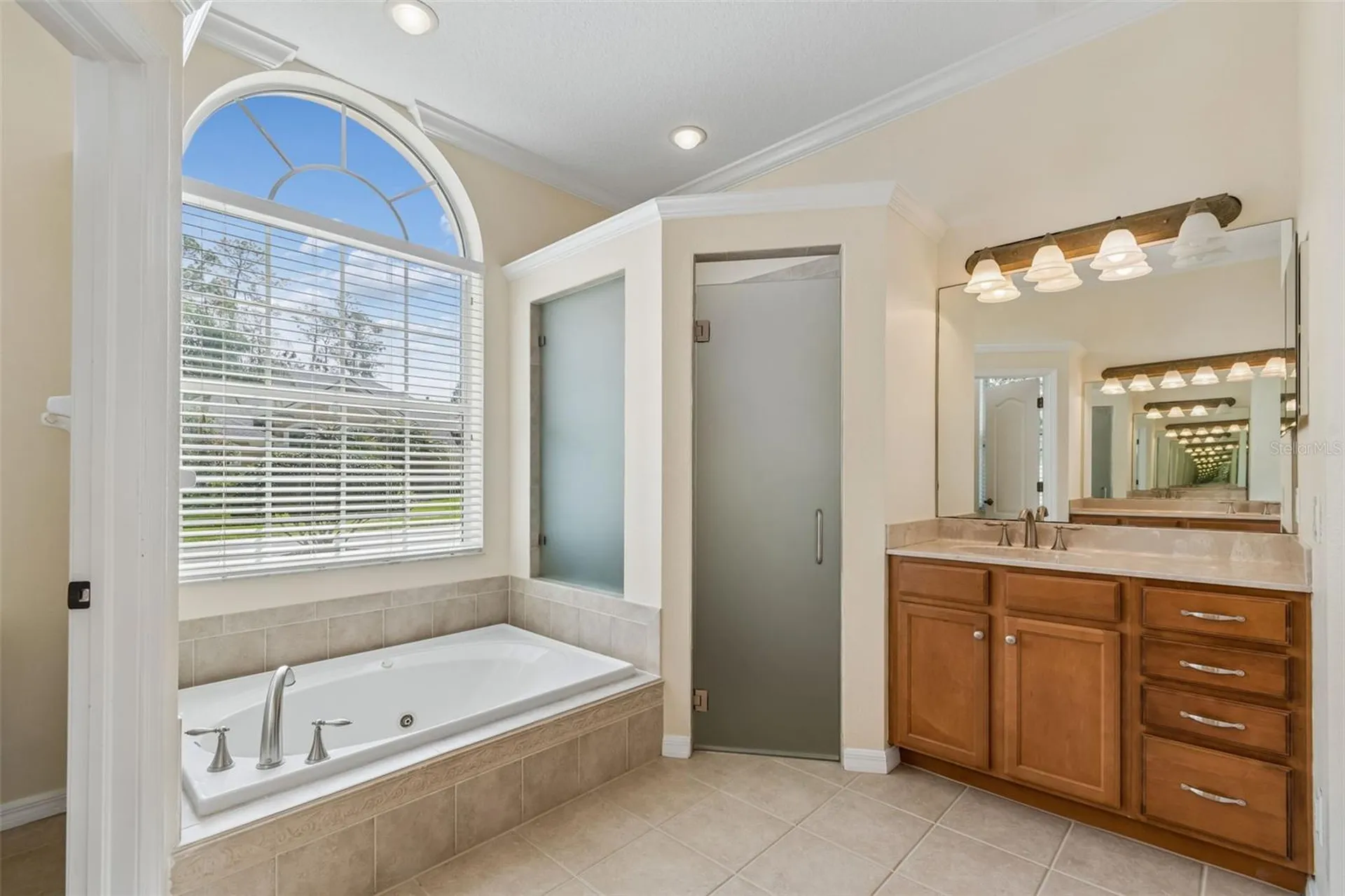 2731 Blue Springs Place Wesley Chapel FL 33544