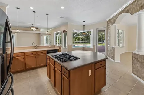 2731 Blue Springs Place Wesley Chapel FL 33544