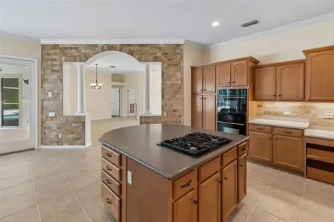 2731 Blue Springs Place Wesley Chapel FL 33544