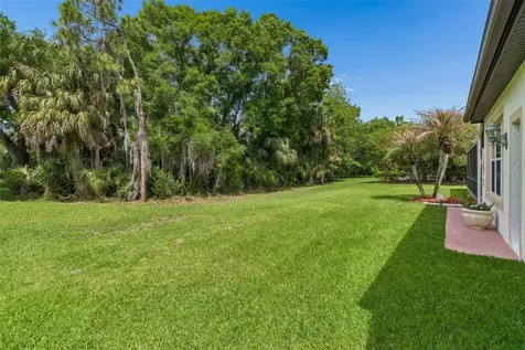 2731 Blue Springs Place Wesley Chapel FL 33544