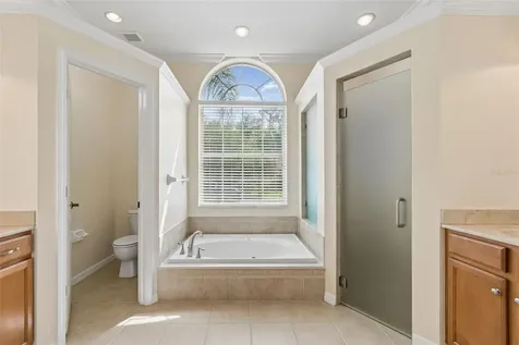 2731 Blue Springs Place Wesley Chapel FL 33544