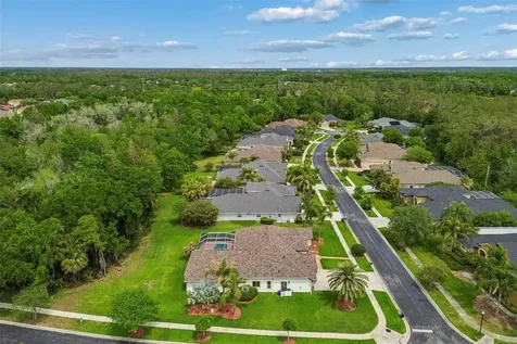 2731 Blue Springs Place Wesley Chapel FL 33544