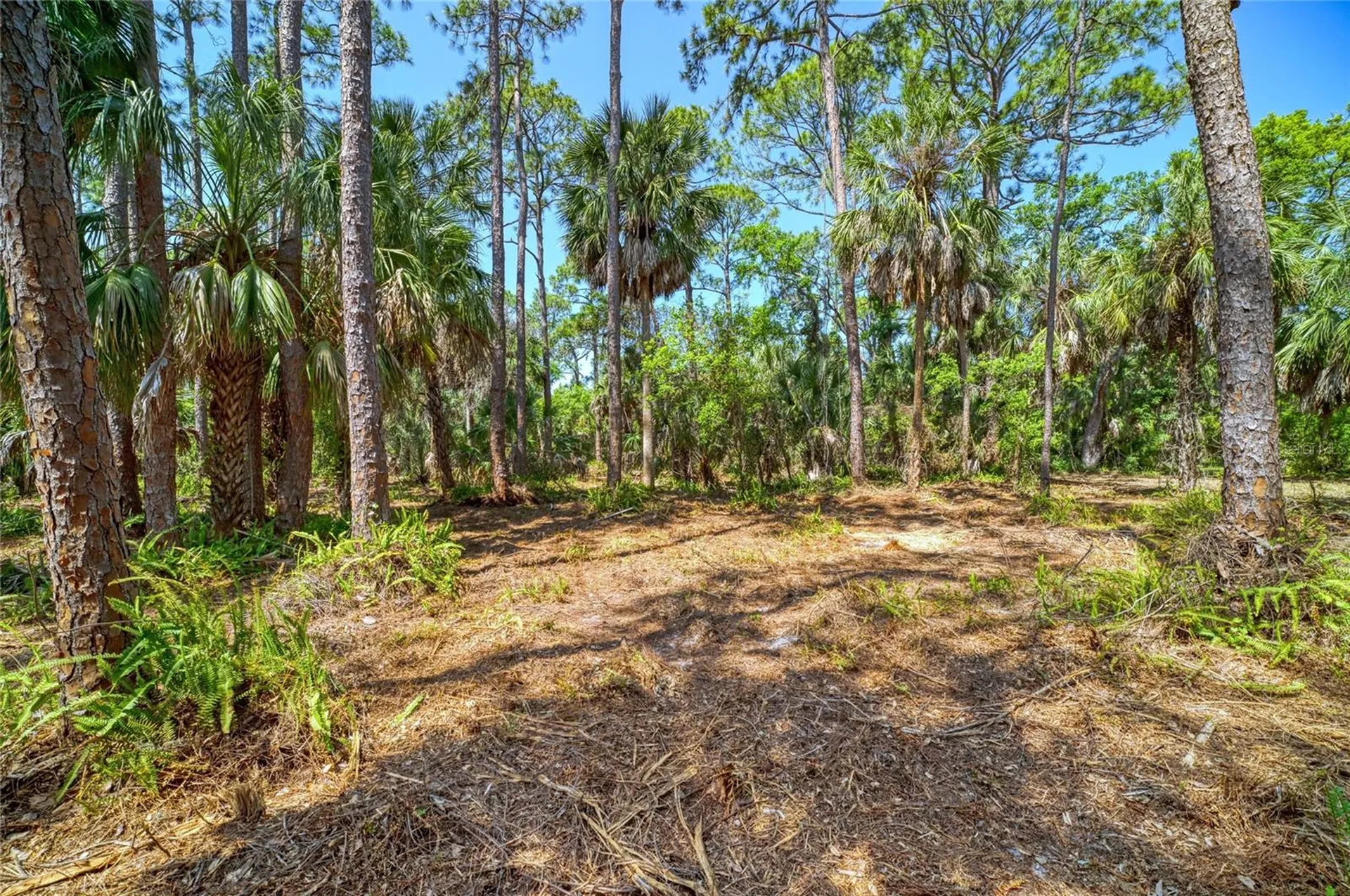 3612 57th Street E Bradenton FL 34208