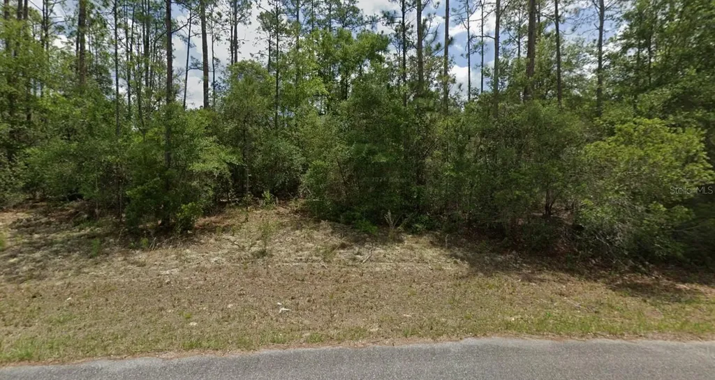 6477 N Elnora Way Dunnellon FL 34433