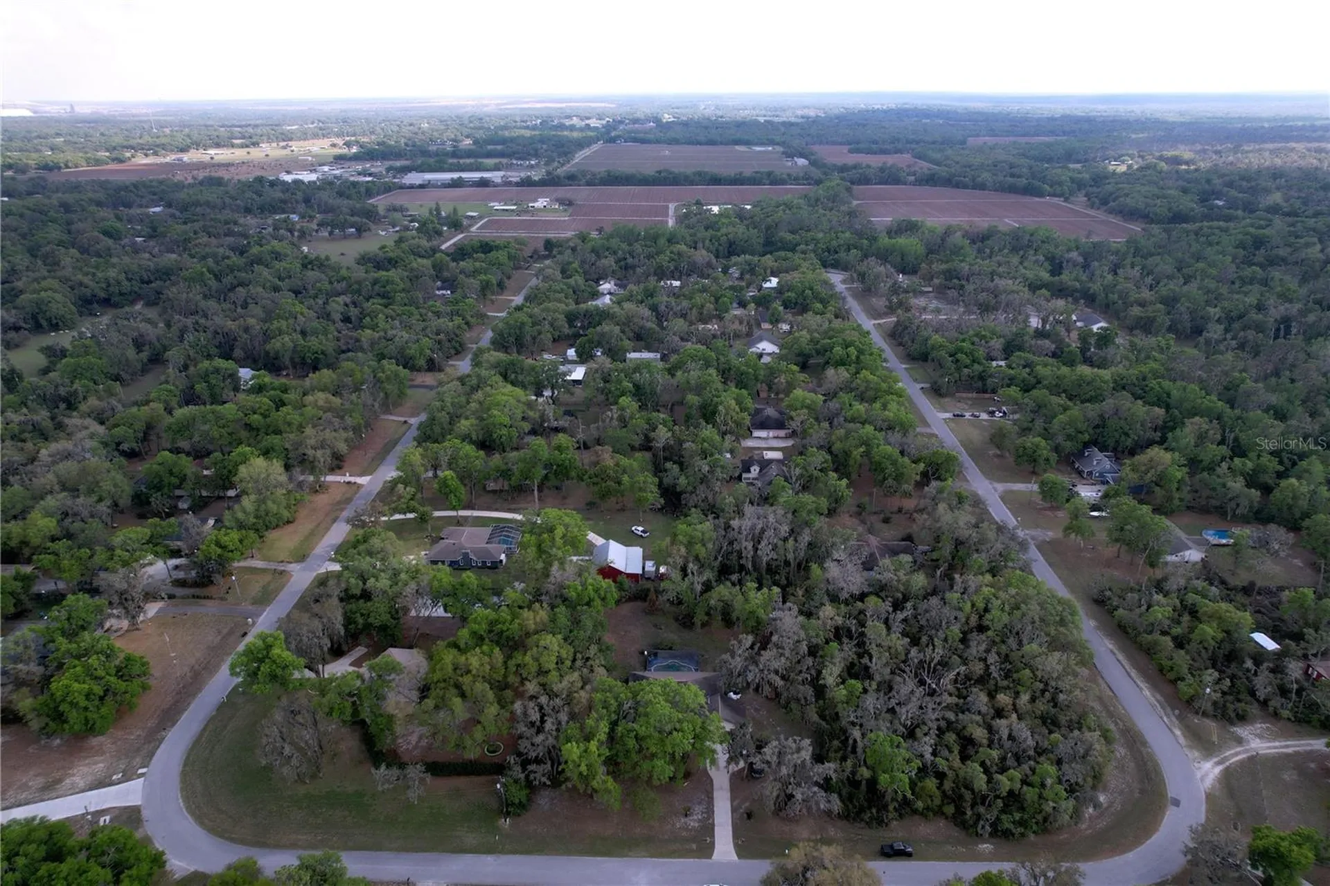 8402 Southwood Pines Street Lithia FL 33547