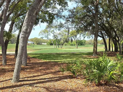 2019 Quailwood Lane Spring Hill FL 34606