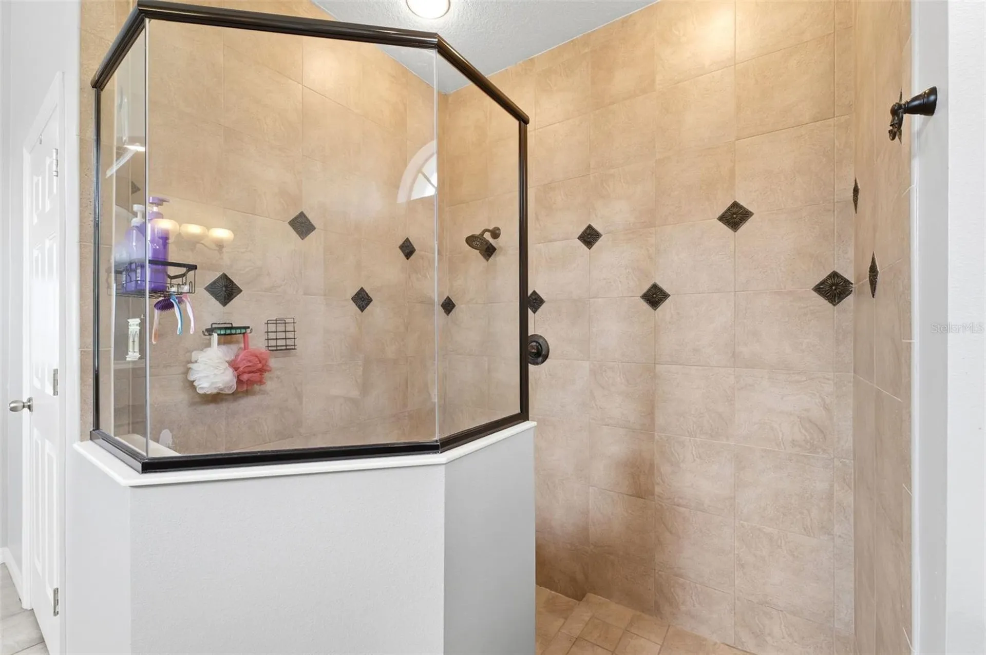 19708 Wellington Manor Boulevard Lutz FL 33549