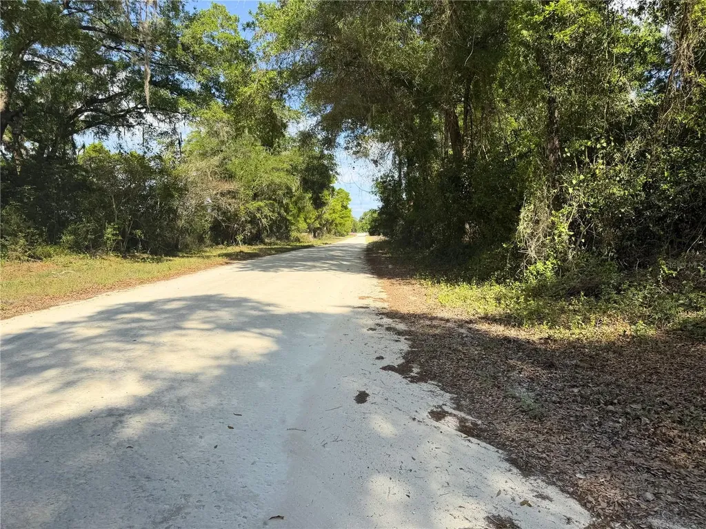 3450 NW 110th Street Chiefland FL 32626