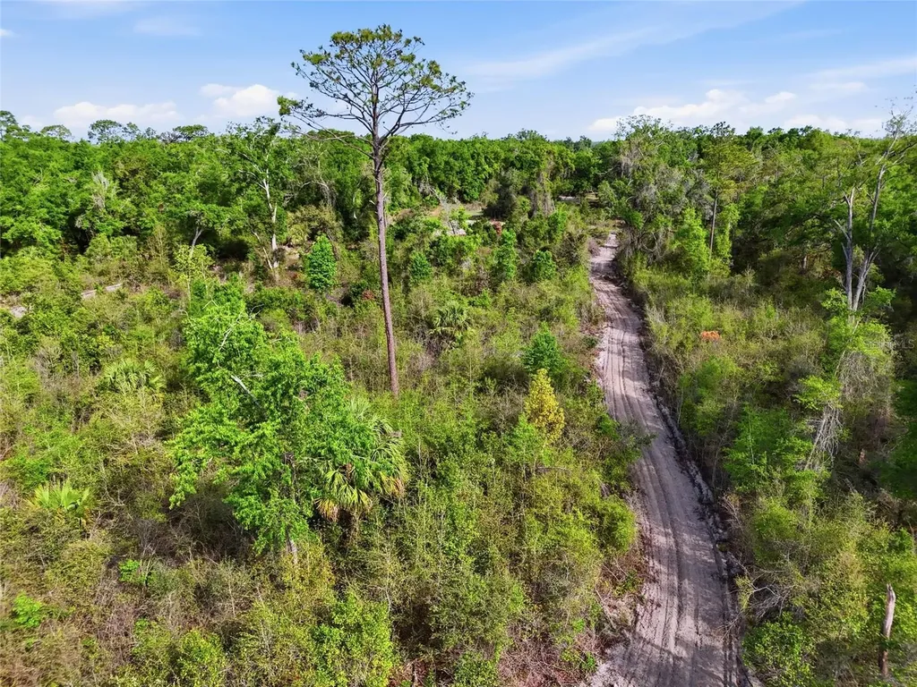 3450 NW 110th Street Chiefland FL 32626