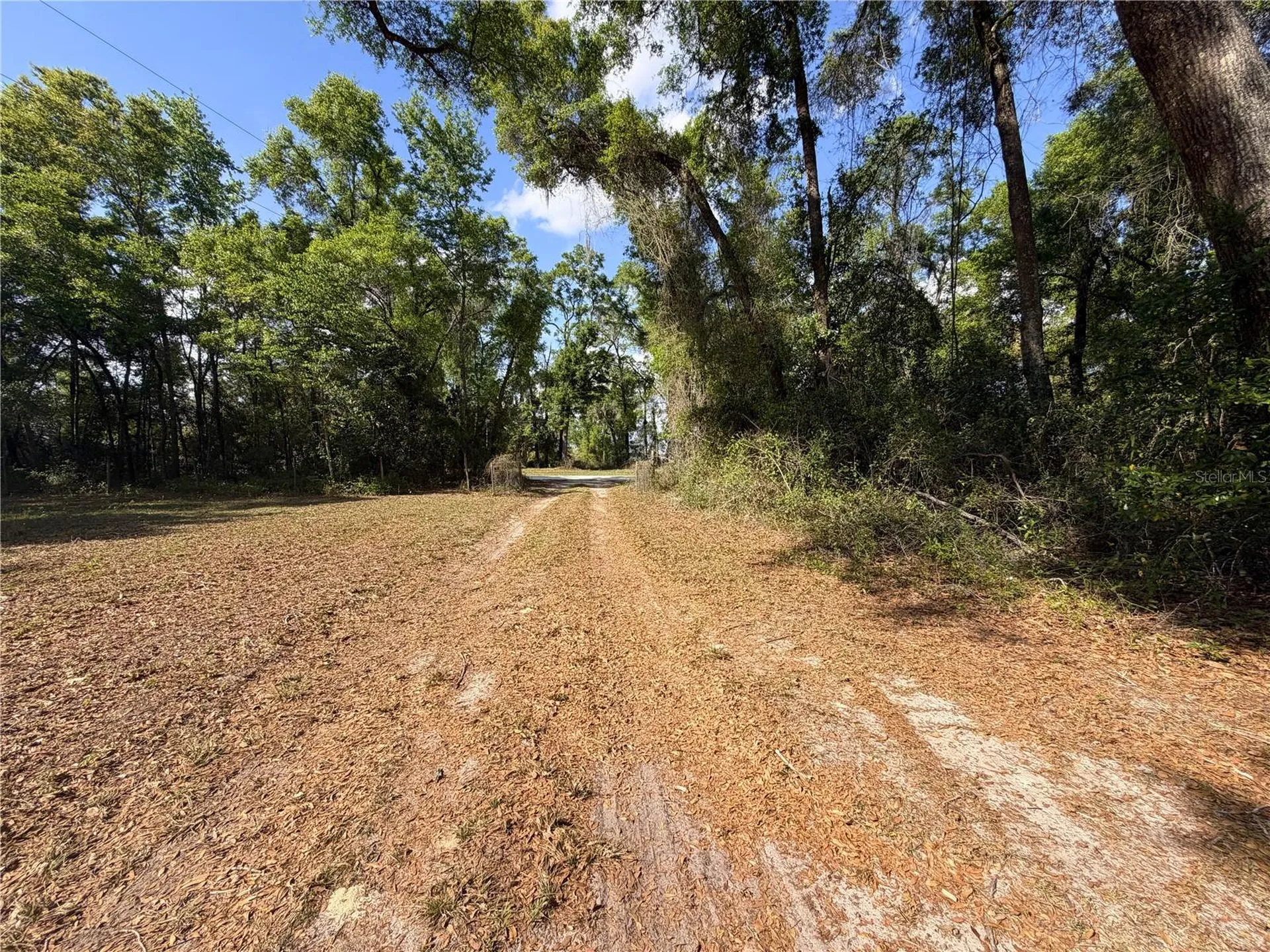 3450 NW 110th Street Chiefland FL 32626