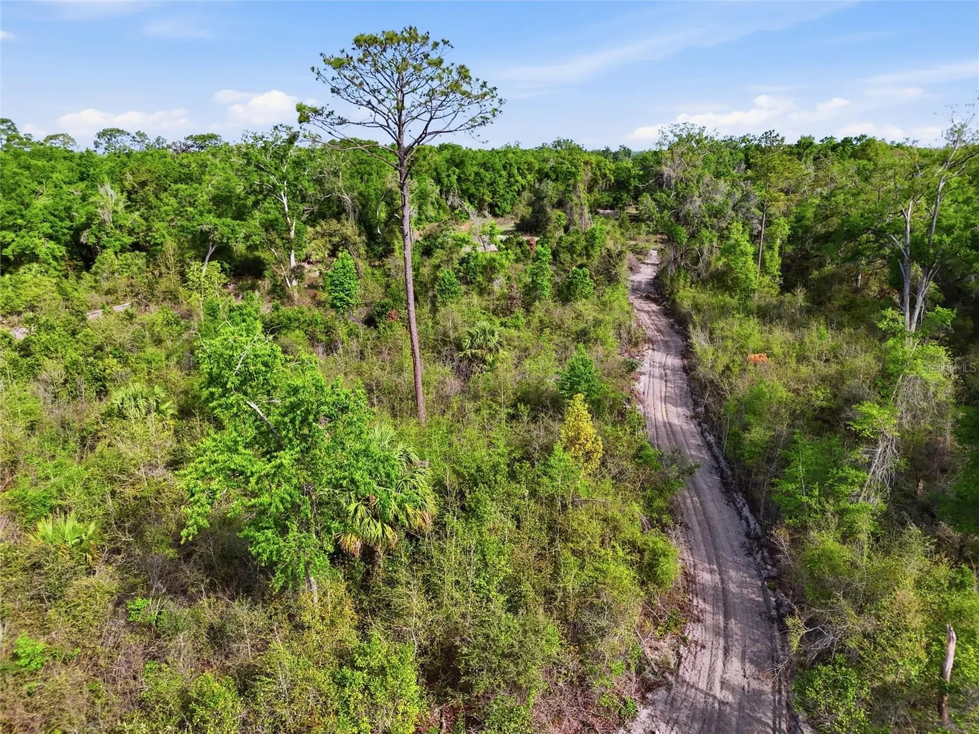 3450 NW 110th Street Chiefland FL 32626