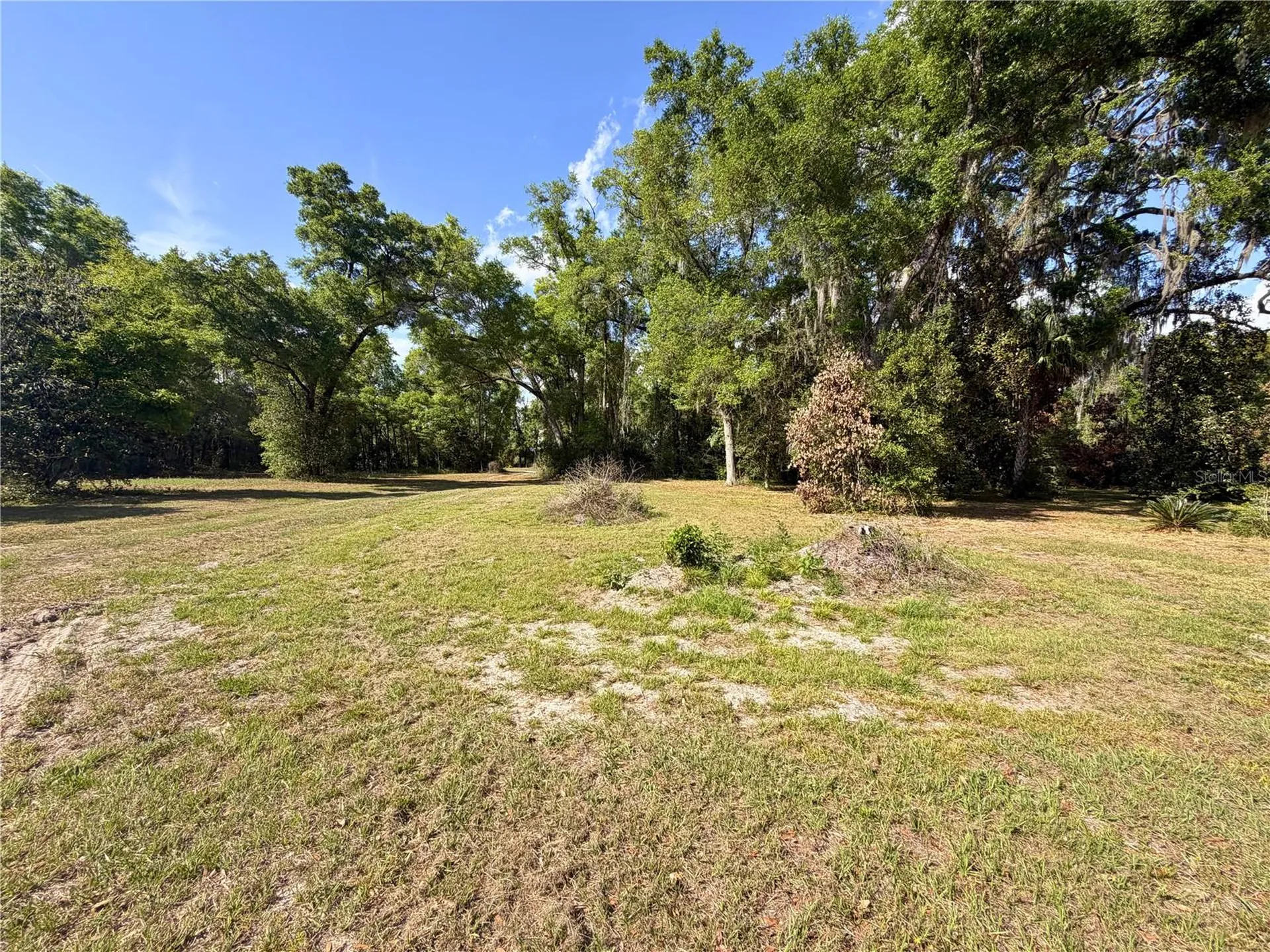 3450 NW 110th Street Chiefland FL 32626