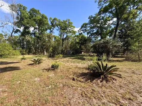 3450 NW 110th Street Chiefland FL 32626