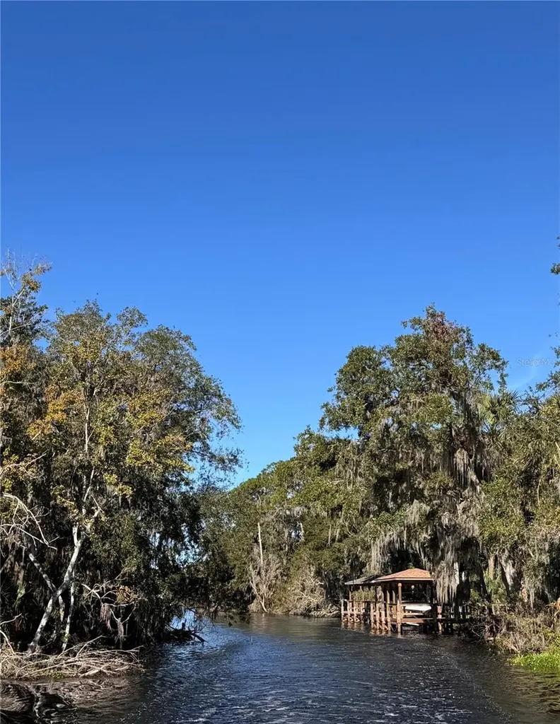 3430 Lake Diane Road Tavares FL 32778