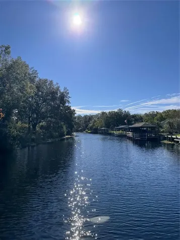 3430 Lake Diane Road Tavares FL 32778