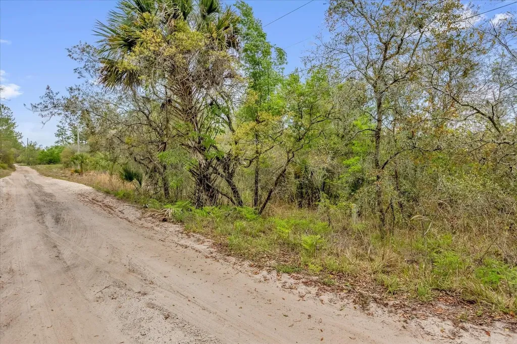 Chestnut Avenue Orange City FL 32763