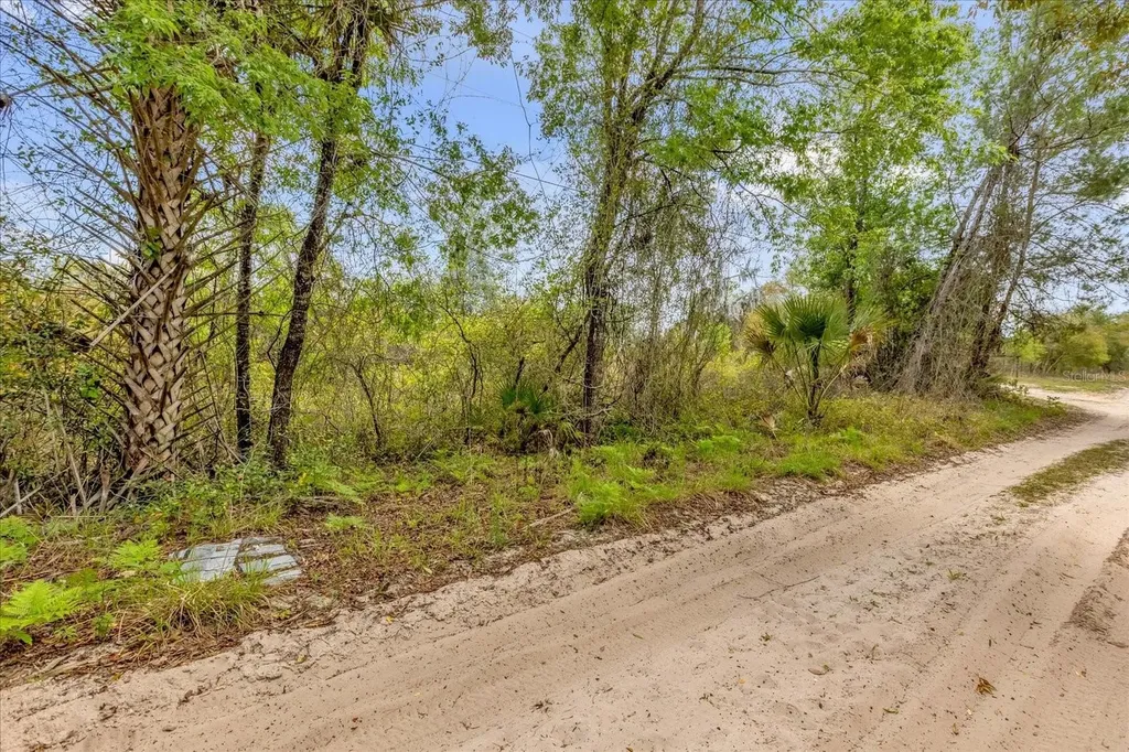 Chestnut Avenue Orange City FL 32763