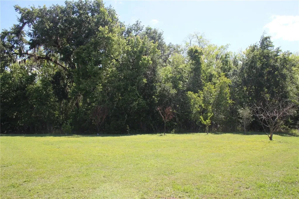 2543 Chapala Drive Kissimmee FL 34746