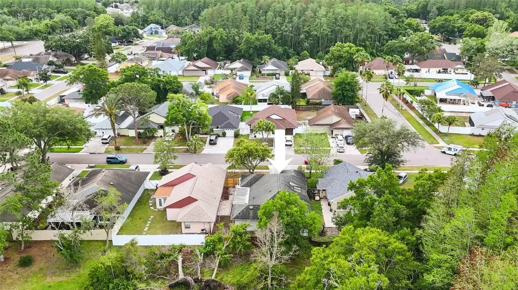 5909 Bitterwood Court Tampa FL 33625