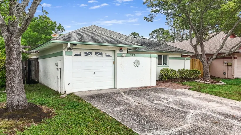 5909 Bitterwood Court Tampa FL 33625