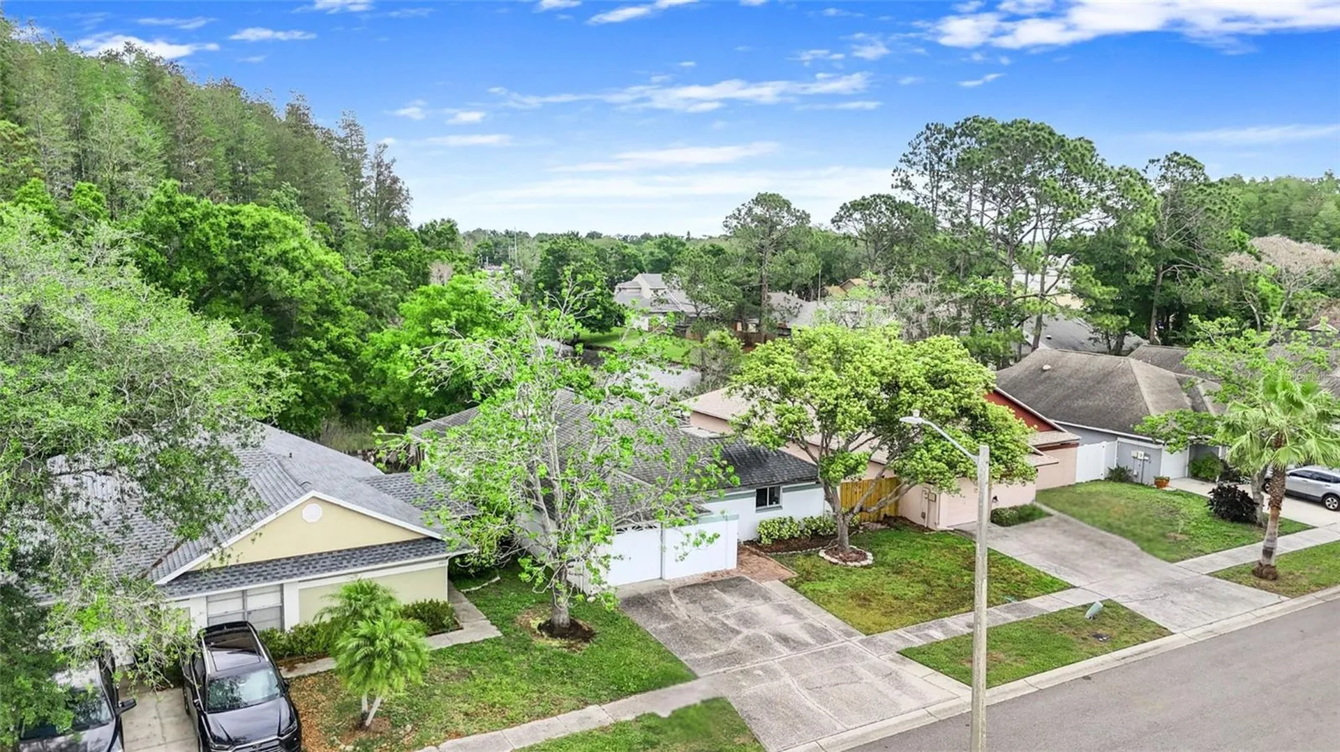 5909 Bitterwood Court Tampa FL 33625