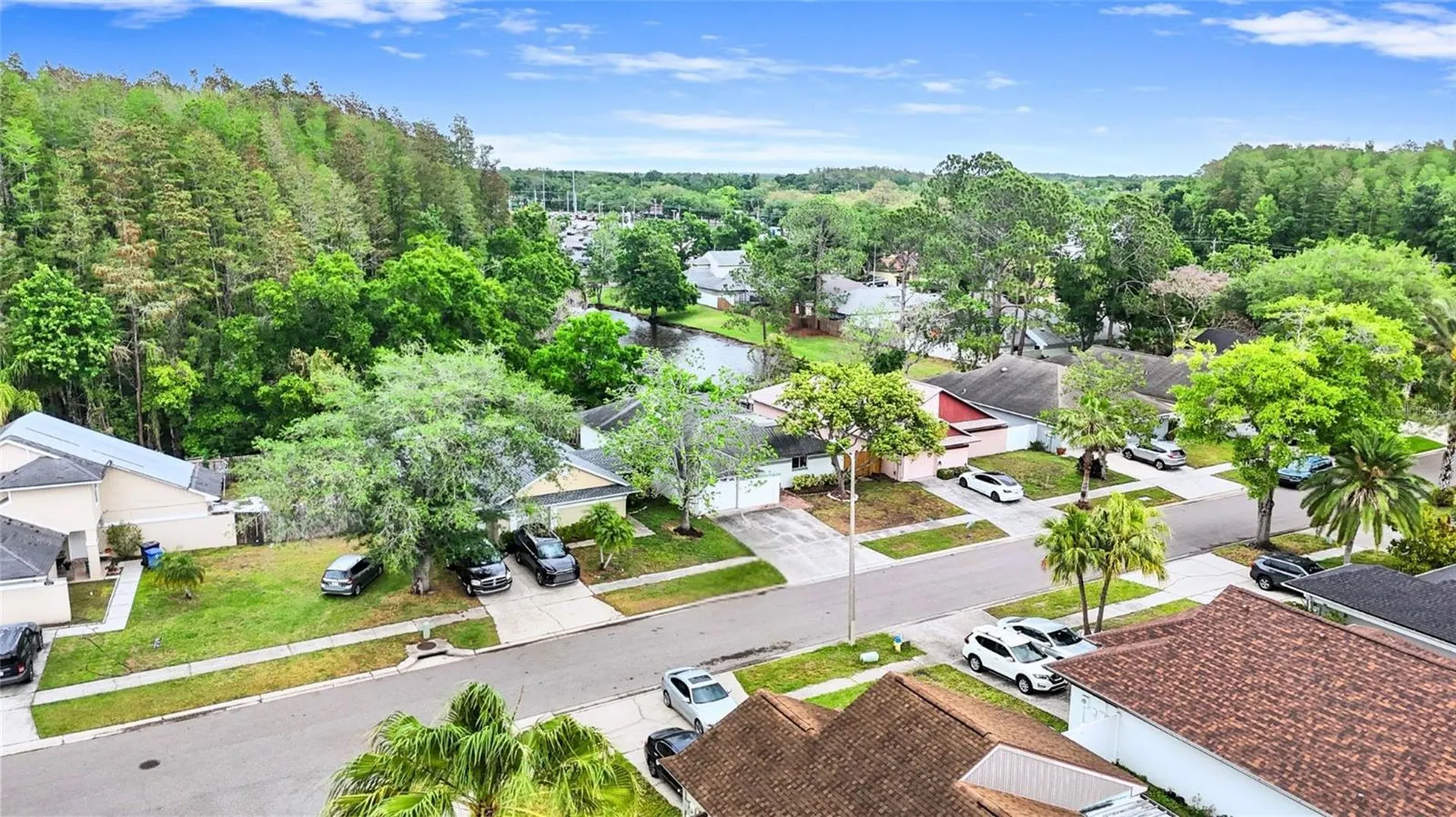 5909 Bitterwood Court Tampa FL 33625