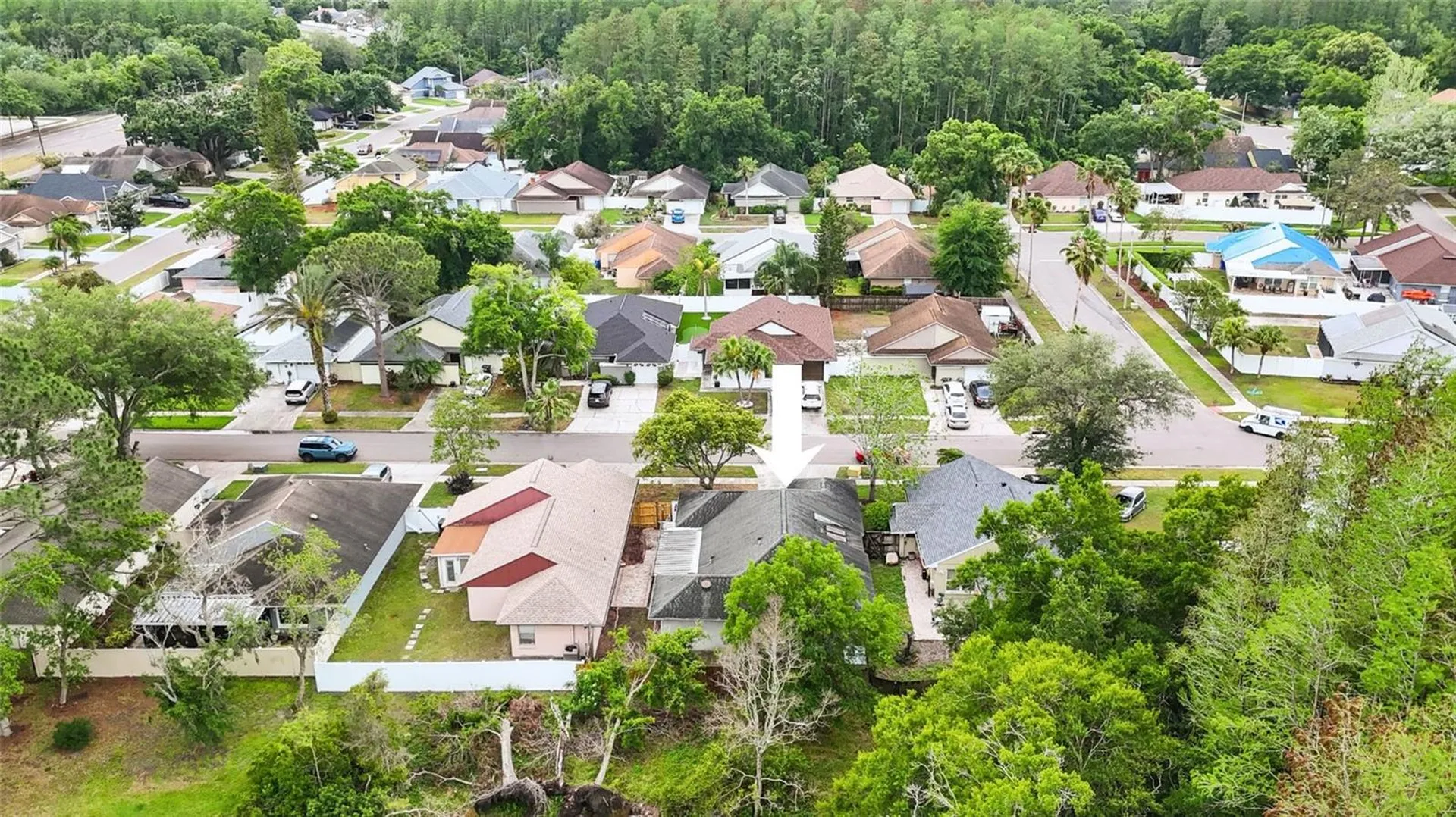 5909 Bitterwood Court Tampa FL 33625