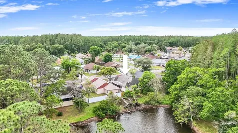 5909 Bitterwood Court Tampa FL 33625