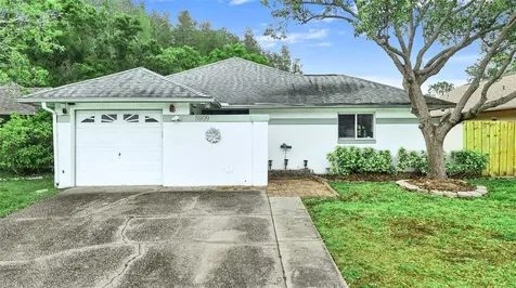 5909 Bitterwood Court Tampa FL 33625