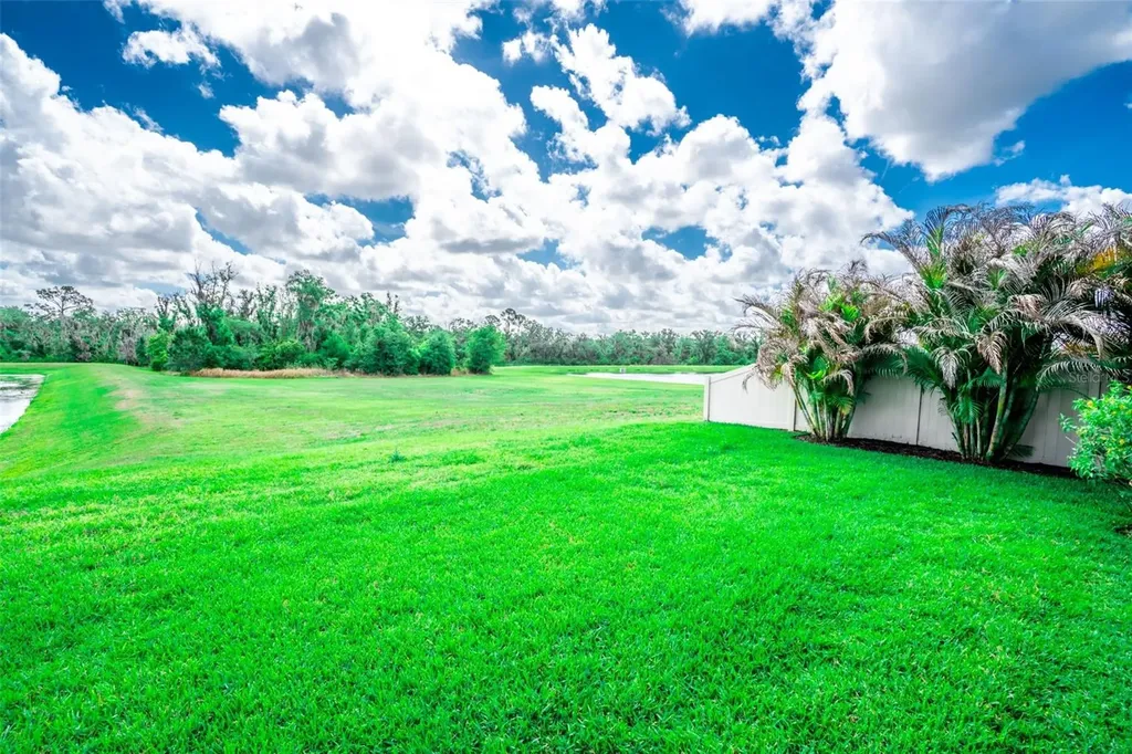 17132 White Mangrove Drive Wimauma FL 33598