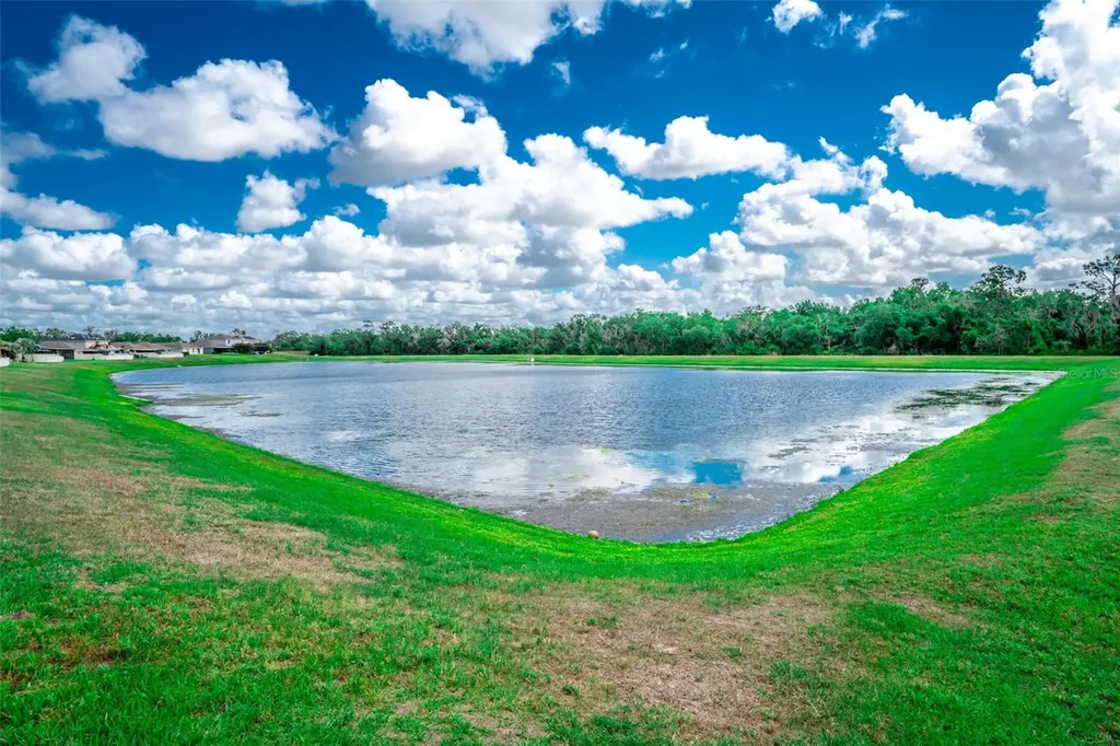 17132 White Mangrove Drive Wimauma FL 33598