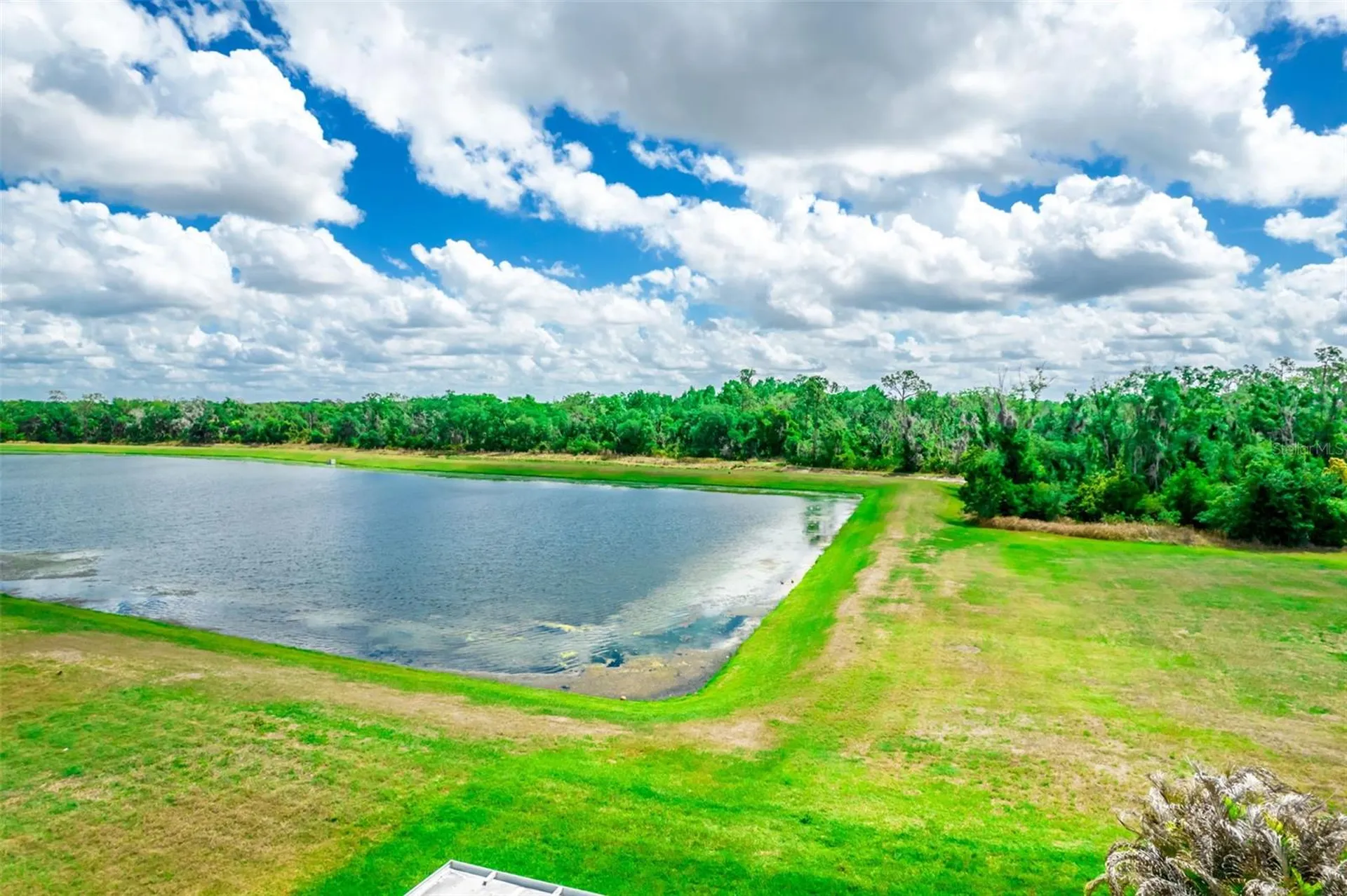 17132 White Mangrove Drive Wimauma FL 33598