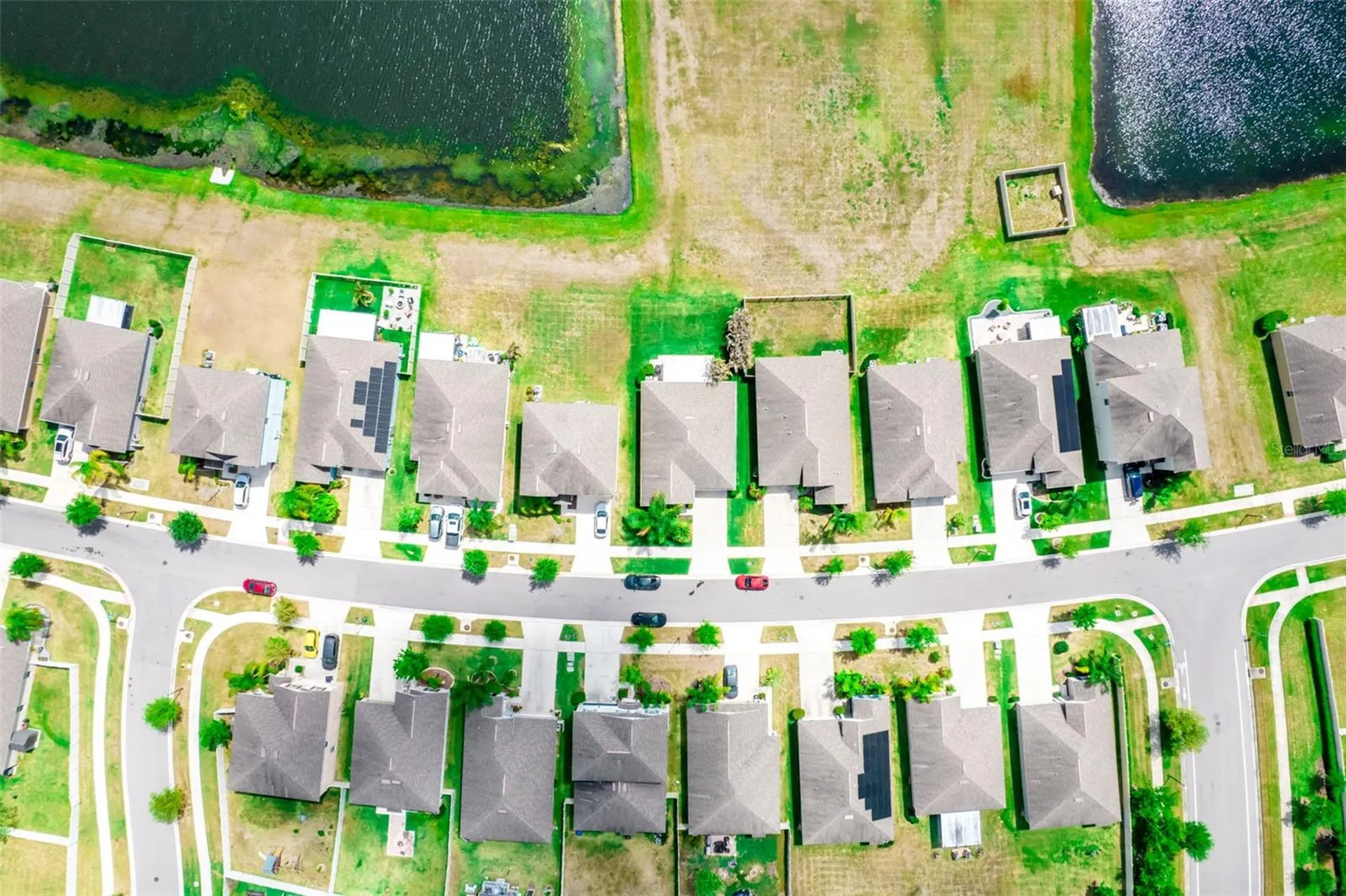 17132 White Mangrove Drive Wimauma FL 33598