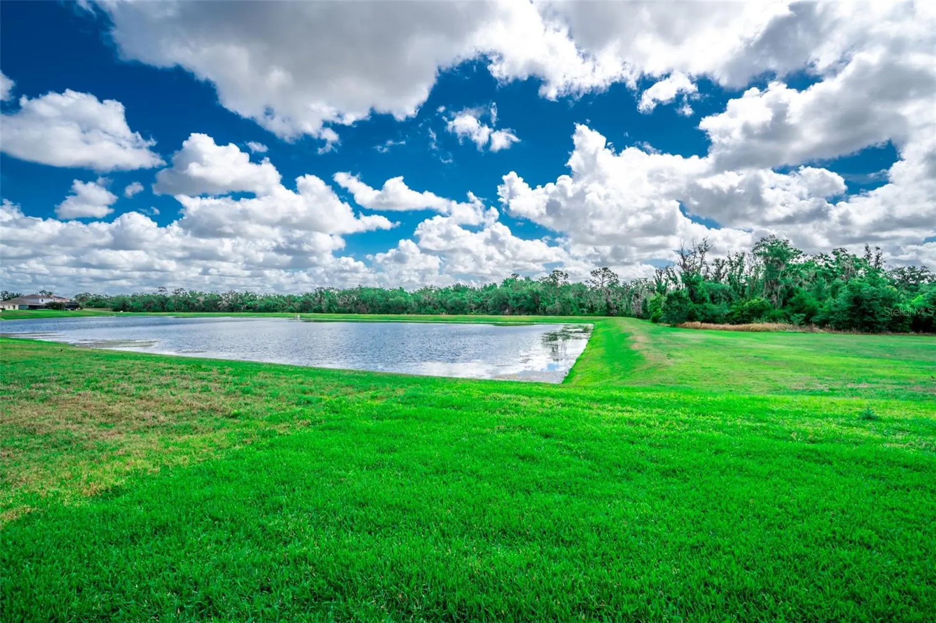 17132 White Mangrove Drive Wimauma FL 33598